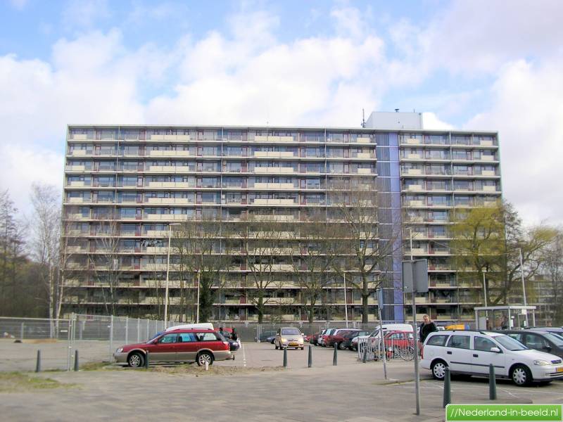 Rotterdam > Vijverhofstraat luchtfoto